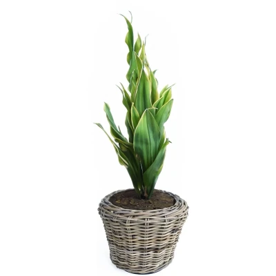 Afbeelding van Drypot Bloemenmand Rond XS