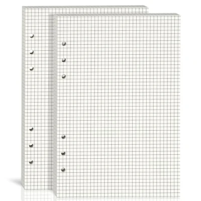 Afbeelding van 2 verpakkingen A5 geruite vellen voor 6 ringbanden, 80 (160 pagina&#039;s), 21 x 14 cm, beige