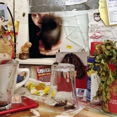 Afbeelding van The Wants Bastard (CD)