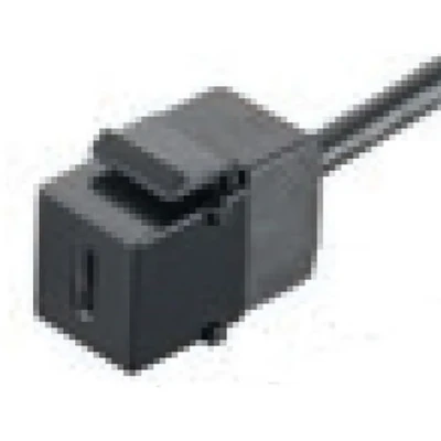 Image de Embase keystone USB Type C Bachmann