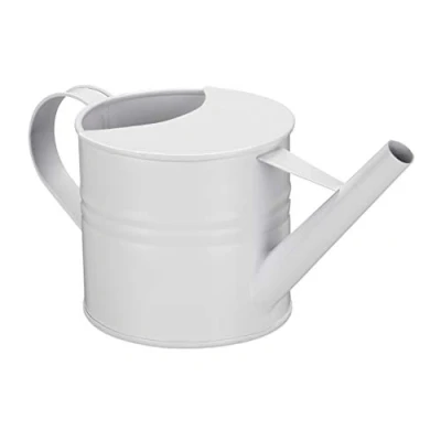 Afbeelding van Relaxdays gietertje klein kamerplanten gieter vintage plantengieter metaal 1.3 L wit