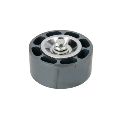 Afbeelding van DAYCO APV3143 Geleiderol