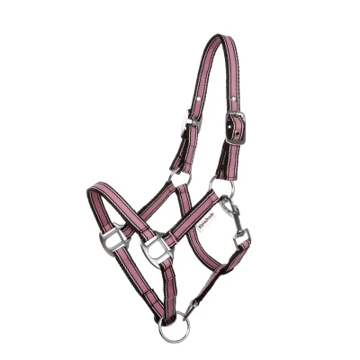Image de Kavalkade Licol Shorty Rose Mini Shetland