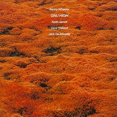 Afbeelding van Kenny Wheeler Gnu High (LP)