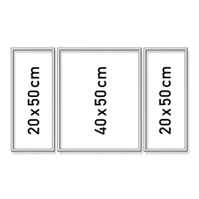 Afbeelding van Aluminium lijst 50 x 80 cm (triptychon) Zilver
