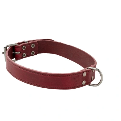 Afbeelding van Adori Halsband Italy Met Print Old Silver Paars Hondenhalsband 55x2.5 cm