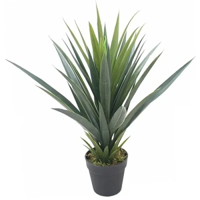 Afbeelding van LEAF 7170 Kunstplant in yukka stijl, 60 cm