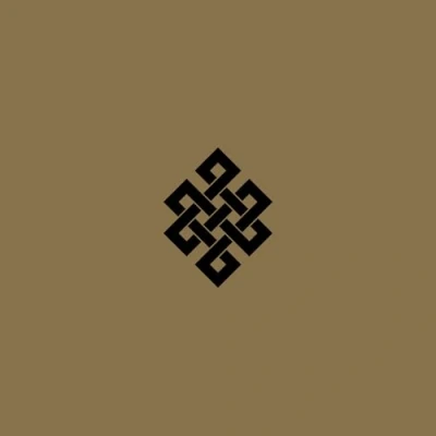 Afbeelding van Throbbing Gristle Live At The Volksbühne, Berlin, New Year&#039;s Eve, 2005 (2 LP)