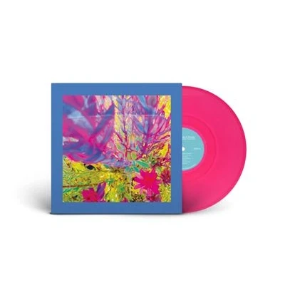 Image de The Past Is A Garden I Never Fed Vinyle Rose Fluorescent