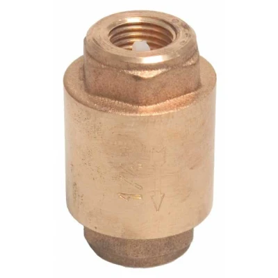 Afbeelding van Mega Terugslagklep veerbelast messing 3/4 inch binnendraad 16bar type 5