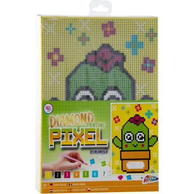 Afbeelding van Diamond Painting, Pixel op Nummer Canvas Cactus