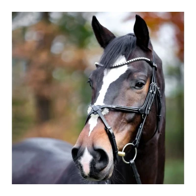 Image de Kavalkade Bridle Lucia Mexican Noseband