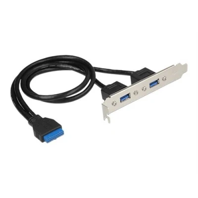 Image de Delock Slot bracket Panneau USB type A (F) pour tête 19 broches 3.0 Converter M.2