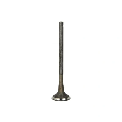 Afbeelding van Uitlaatklep FRECCIA R6646/RNT