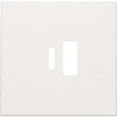 Afbeelding van Afwerkingsset voor dubbele smart USB A en C lader, white (101 68002)