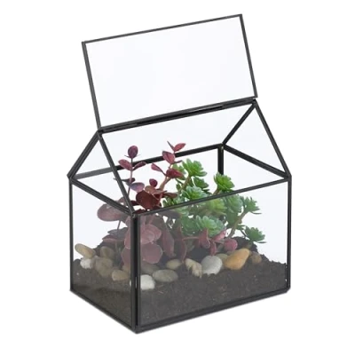 Afbeelding van planten terrarium 15x15x10 cm glas vensterbank zwart