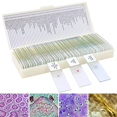 Afbeelding van LAKWAR 60 microscoopbladen met monsters voor kinderen, voorbereid de microbiologie van volwassenen