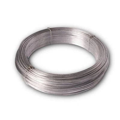 Afbeelding van Chapuis Spanningsdraad verzinkt staal voor het verstevigen van hekken Buitengebruik Sterkte en duurzaamheid Diameter 2,7 mm Lengte 100 m