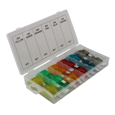 Afbeelding van Weber Tools Assortiment Maxi zekeringen 24 delig