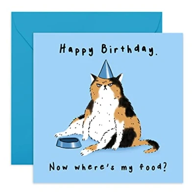 Afbeelding van Central 23 grappige verjaardagskaart kattenthema &quot;Where&#039;s My Food&quot; Voor vrienden Wordt geleverd met stickers