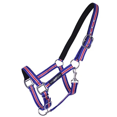 Image de QHP Halter Icelandic