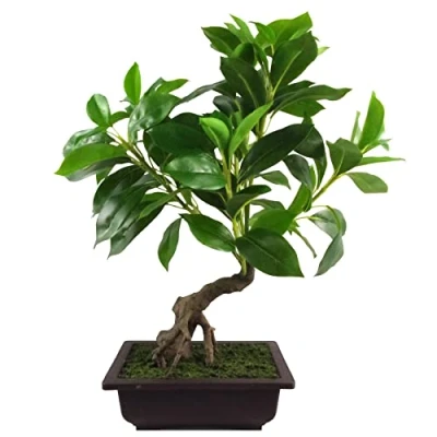 Afbeelding van Leaf Kunstboom, gemengde materialen, groene bonsai, 50 cm