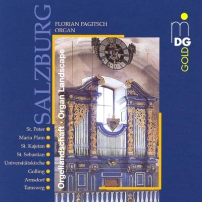 Afbeelding van Florian Pagitsch Salzburg Organ Landscape (CD)