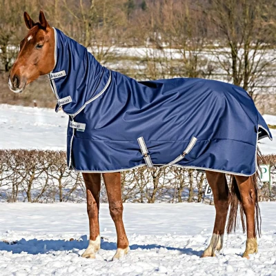Afbeelding van Bucas Freedom Turnout Full Neck 150g Navy 165/213 Agradi.be