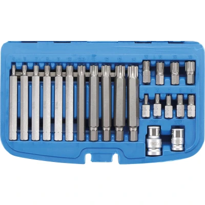 Afbeelding van BGS Bitset 3/8&quot; wigprofiel (voor RIBE) 22 delig