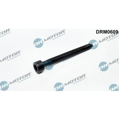 Afbeelding van Schroef, inspuitstukhouder Dr.Motor Automotive DRM0609