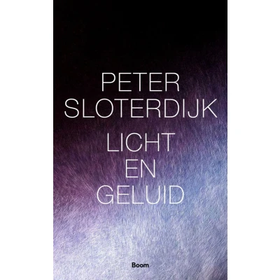 Afbeelding van Licht en geluid