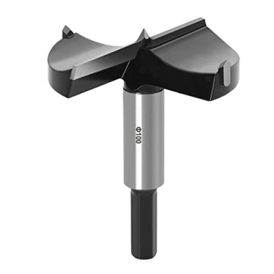 Afbeelding van ASNOMY Forstner Forstnerboor van wolfraamstaal, 100 mm, houtboor en hardhout