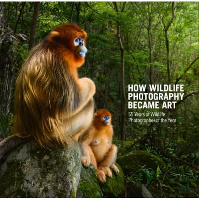 Afbeelding van How Wildlife Photography Became Art