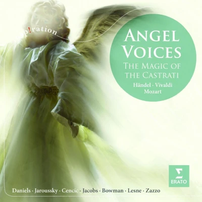 Afbeelding van Angel Voices