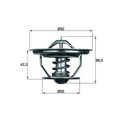 Afbeelding van Mahle Original Thermostaat TX 35 71