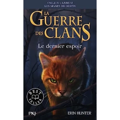 Afbeelding van Le dernier espoir