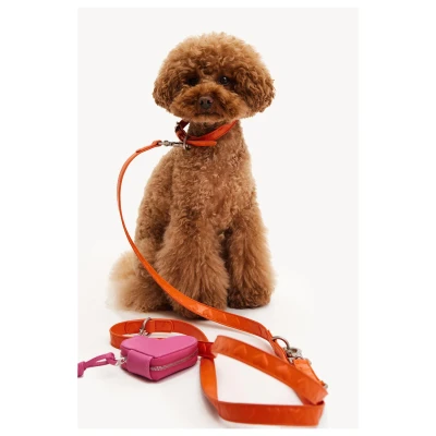 Afbeelding van Dogguo Heart Leash Hondenriem Oranje