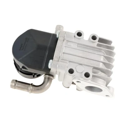 Afbeelding van Delphi Diesel EGR klep EG10643 12B1