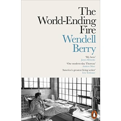 Afbeelding van The World Ending Fire