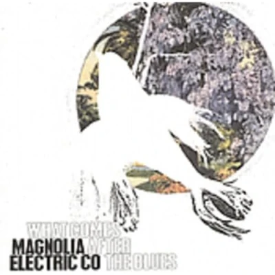 Afbeelding van Magnolia Electric Co What Comes After The Blues (CD)