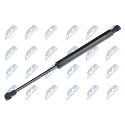 Afbeelding van NTY AE AR 012 Gasveer achterklep 580N 310mm