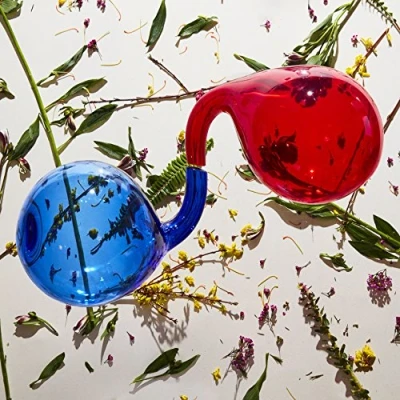 Afbeelding van Dirty Projectors Lamp Lit Prose