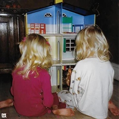 Afbeelding van Zebra (7ebra) Bird Hour (LP)