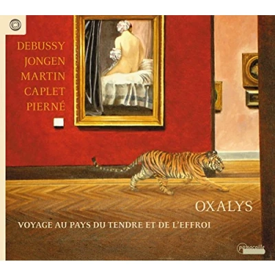 Afbeelding van Oxalis Voyage Au Pays Du Tendre Et De L&#039;Effroi (CD)