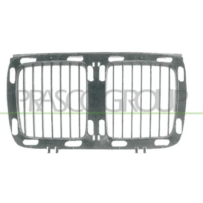 Afbeelding van PRASCO BM0422001 Grille Auto BMW: 5 Saloon