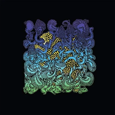 Afbeelding van El Leopardo / Acontista (12&quot; Vinyl Single)