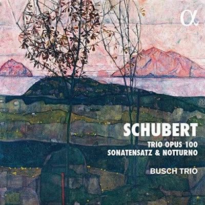 Afbeelding van Busch Trio Opus 100, Sonatensatz &amp; Notturno (CD)
