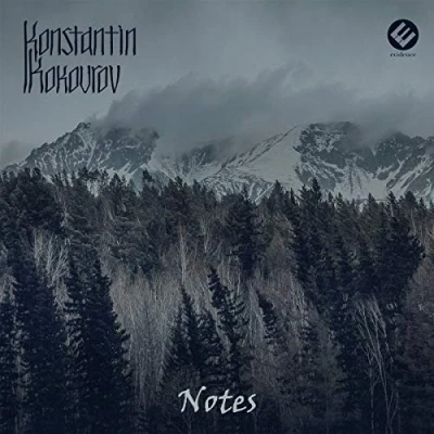 Afbeelding van Scoring Berlin Orchestra, Bernhard Wünsch Kokourov: Notes (CD)