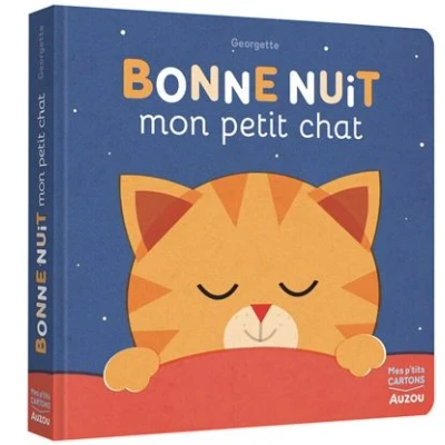 Image de Bonne nuit mon petit chat !