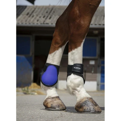 Image de Norton Protège Boulets Violet Poney